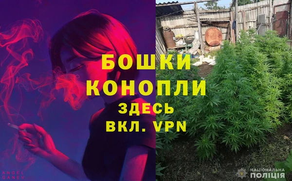 спиды Белокуриха